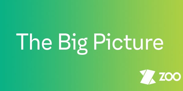 The Big Picture newsletter header
